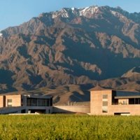 Luxury Winery in Argentina - Bodega Diamandes - Wine Paths